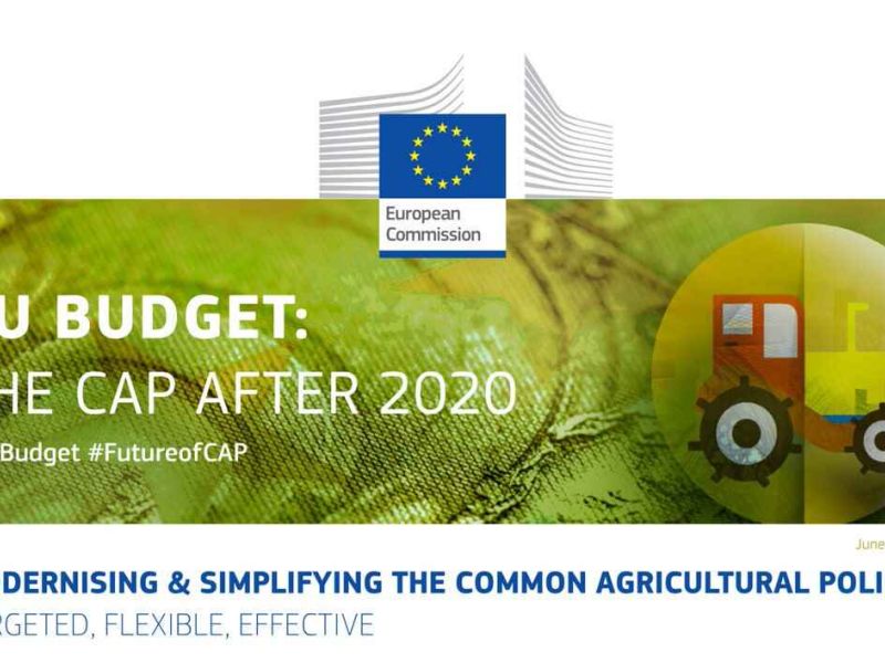 ¿Qué son los Planes Estratégicos que sustituyen a los PDR en el marco 2021-2027?