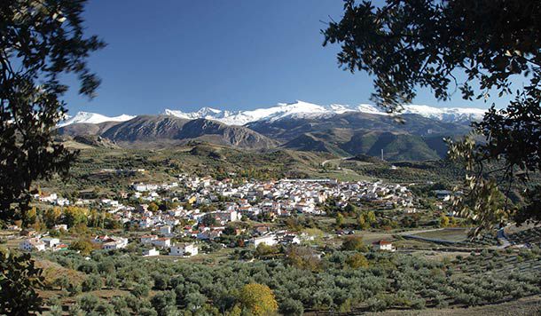 GDRs de la provincia de Granada
