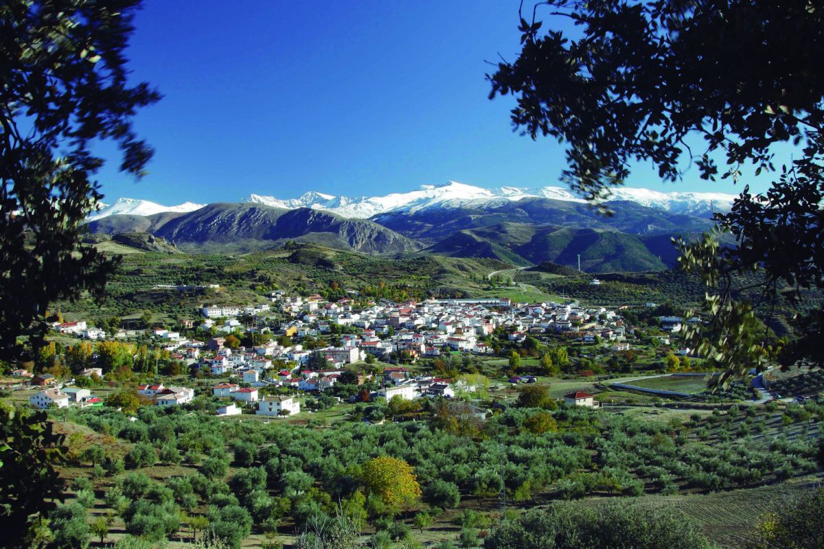 El GDR Alfanevada organiza un encuentro sobre oleoturismo, patrimonio y sostenibilidad agraria