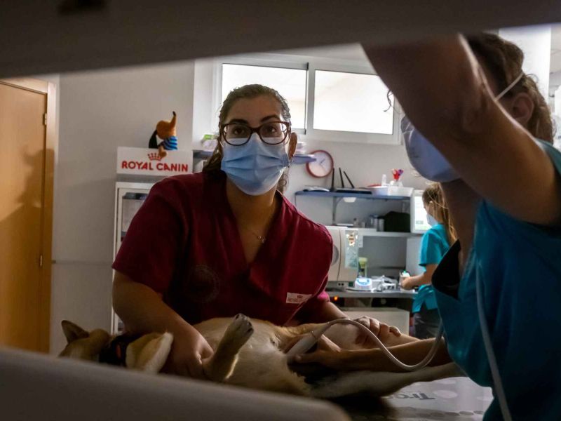 Diputación y los 5 Grupos de Desarrollo Rural de Huelva convocan 105 becas HEBE  para la juventud de las comarcas de la provincia