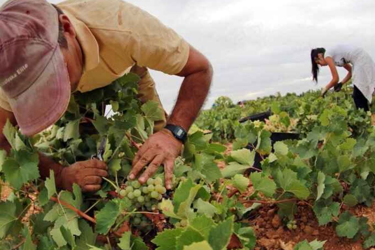 La futura Ley de Desarrollo Rural Territorial de C-LM apostará por reducir la fiscalidad