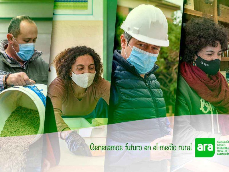 El Consejo de Gobierno aprueba medidas de empleo en apoyo a mujeres en los ámbitos rural y urbano