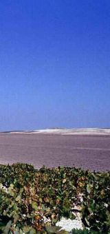 img collado deefb9c0