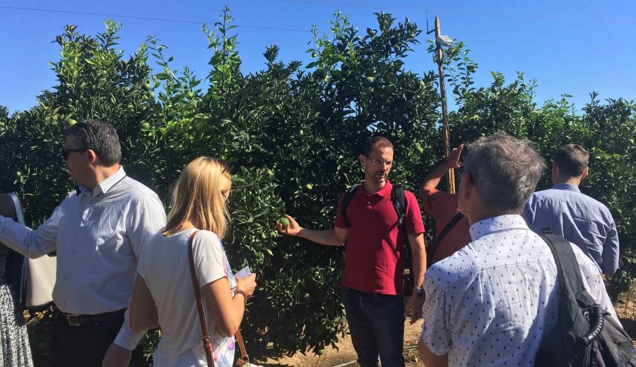 Regions4Food  se interesa por “Smart AG Services” que lidera el GDR Campiña y Alcores de Sevilla
