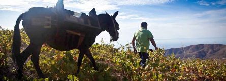 bf7ccb 4a6b6597f750417b88bef57151b509c7mv2 dfb1d89b