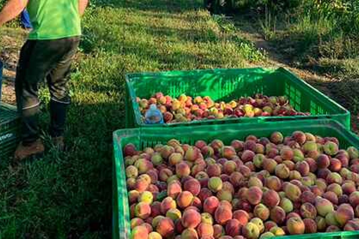UPA: “Recortando la PAC no perdemos los agricultores, pierde toda la sociedad”