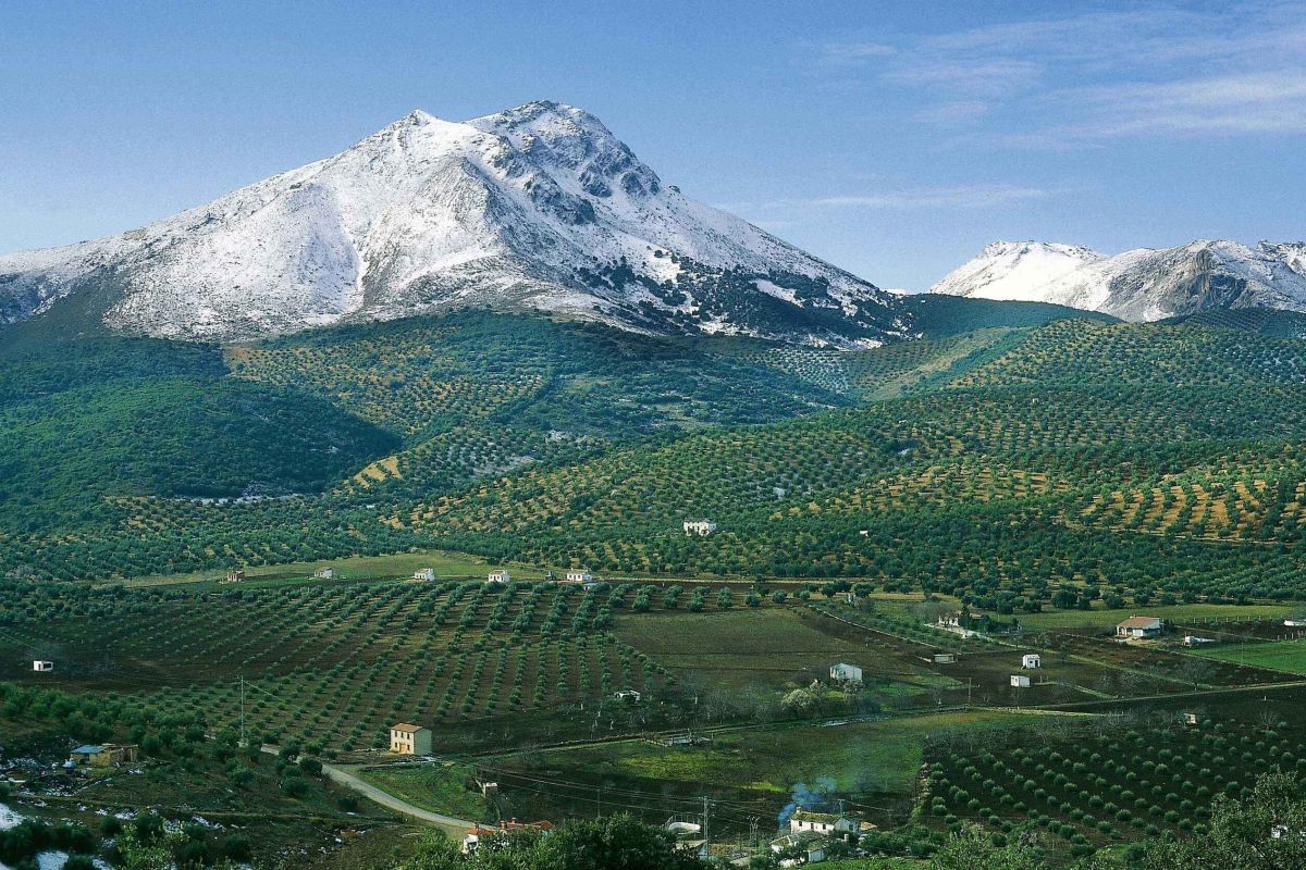 El GDR Subbética Cordobesa subvenciona el proyecto de mejora de los jardines de la Huerta del Carmen