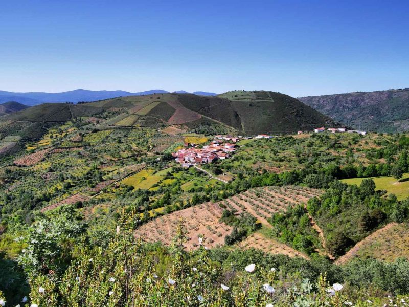 El GDR Los Pedroches participa en I-CISK para innovar en los servicios climáticos mediante la integración de conocimientos científicos y locales