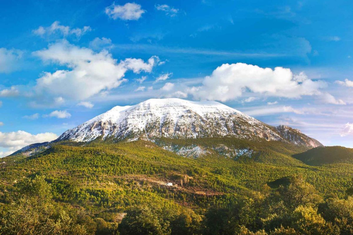 Francisco Torregrosa, presidente GDR Altiplano de Granada: “LEADER da la oportunidad a las zonas rurales de ser partícipes en su propio desarrollo”