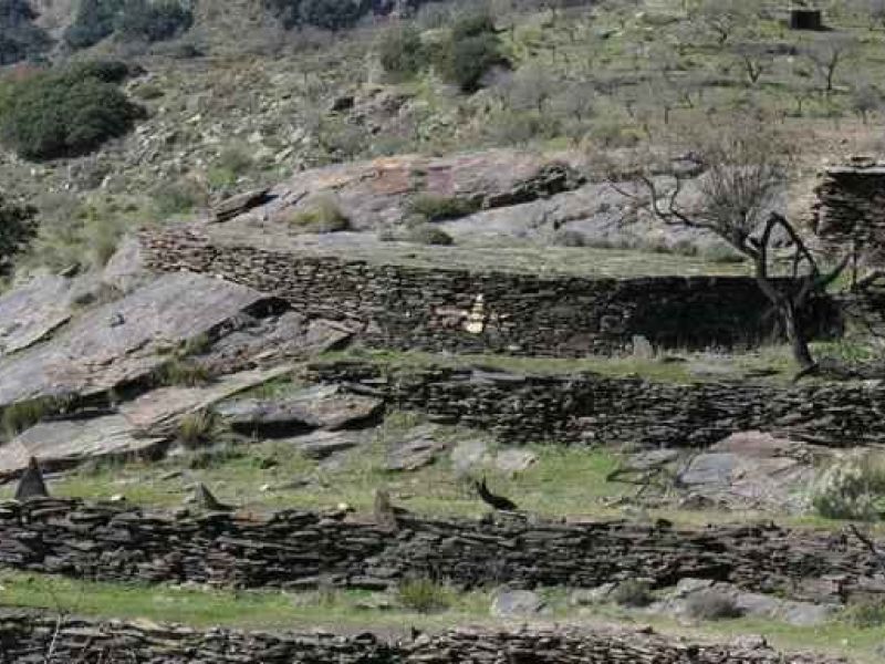 Los balates de la Axarquía, reconocidos como Patrimonio de la Humanidad por la Unesco