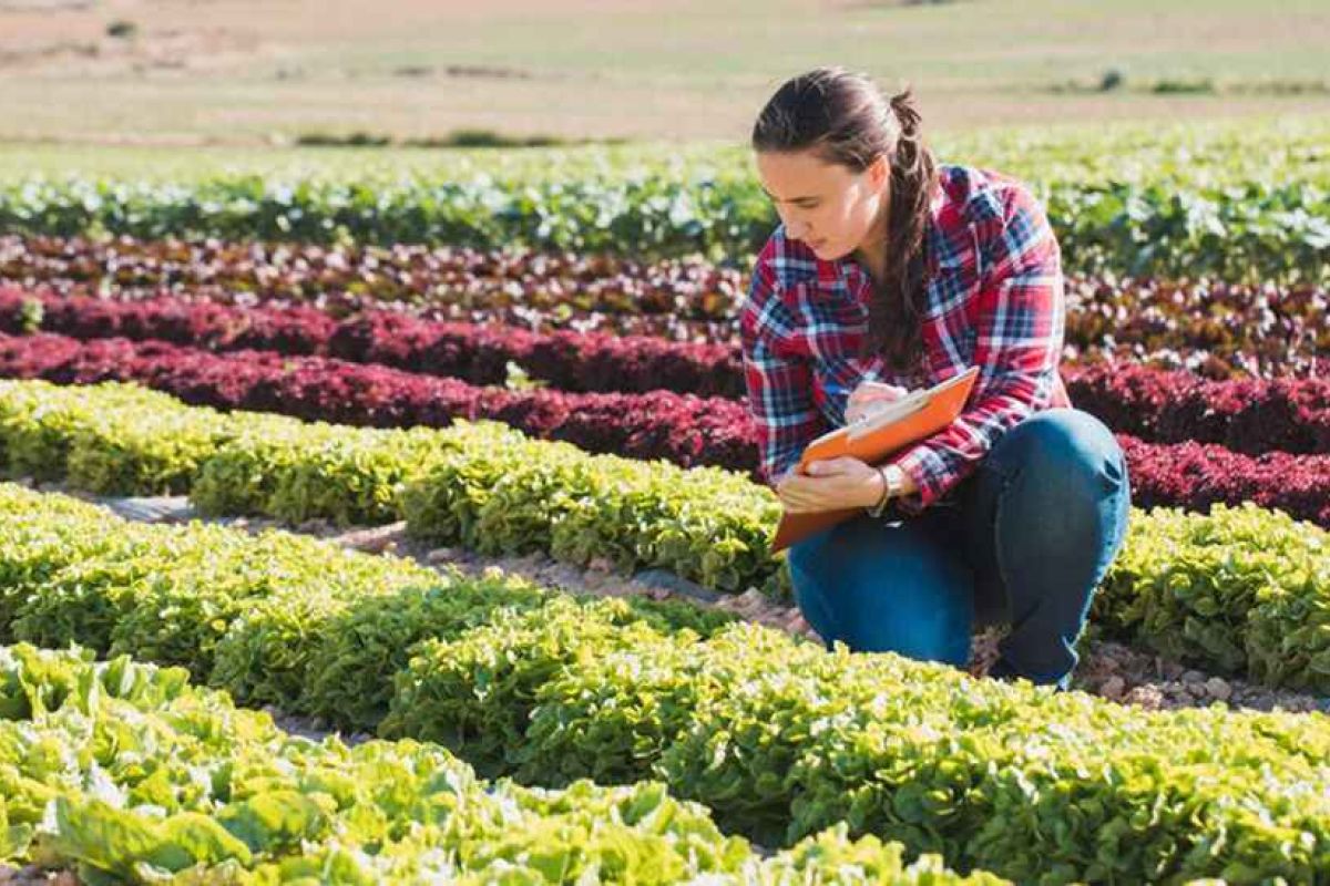 La Junta convocará las primeras ayudas para entidades de mujeres del campo y la pesca