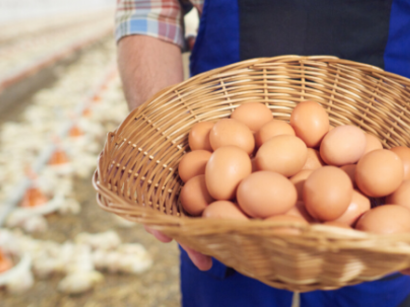 La Unión Europea refuerza el sistema agrícola con la estrategia “de la granja a la mesa”