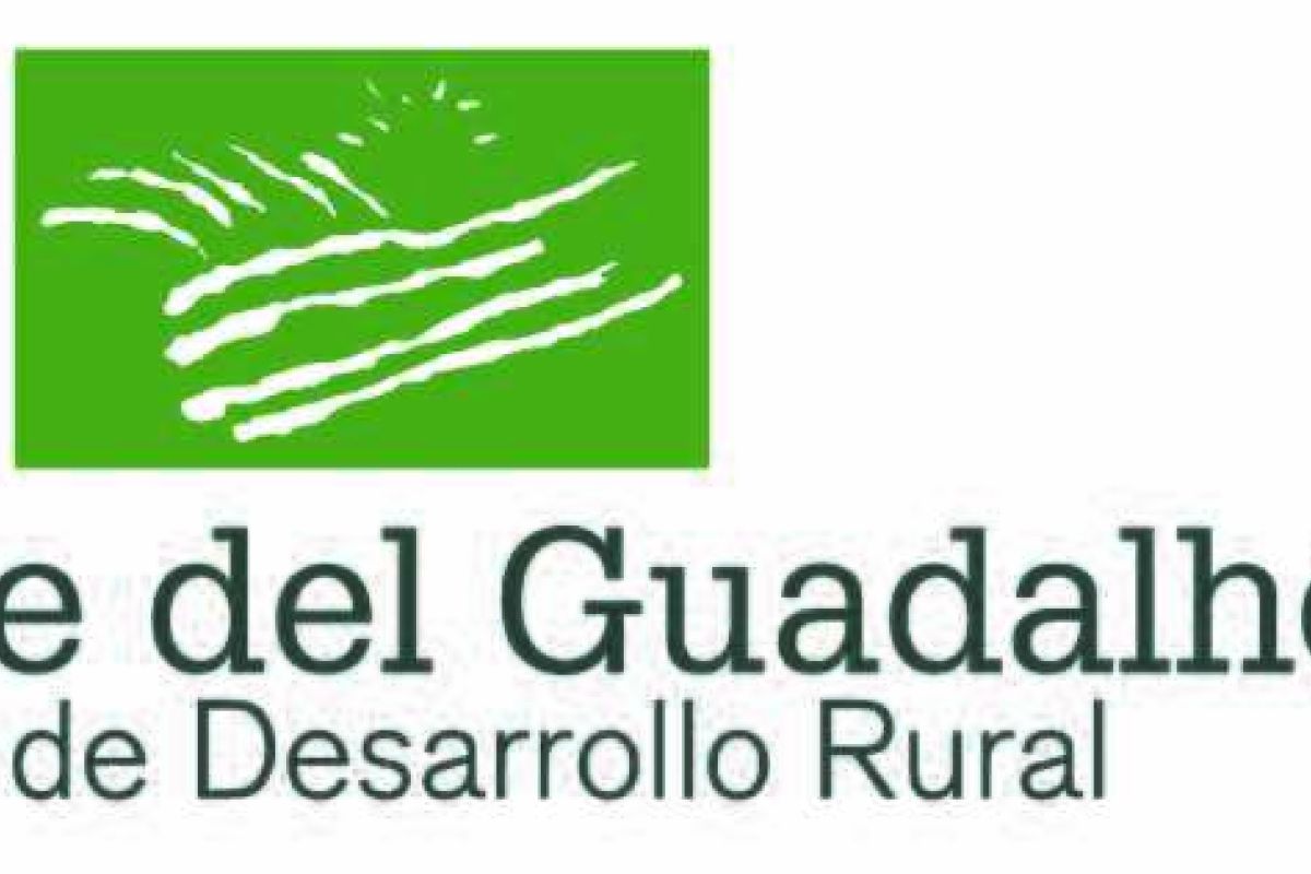 El GDR Valle del Guadalhorce organiza en Coín el intercambio juvenil Ready, Steady, ¡Go! Time to play
