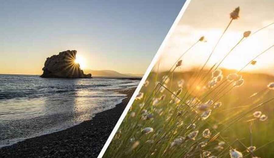Diputación de Málaga premiará iniciativas contra el cambio climático a través de los Premios Málaga Viva