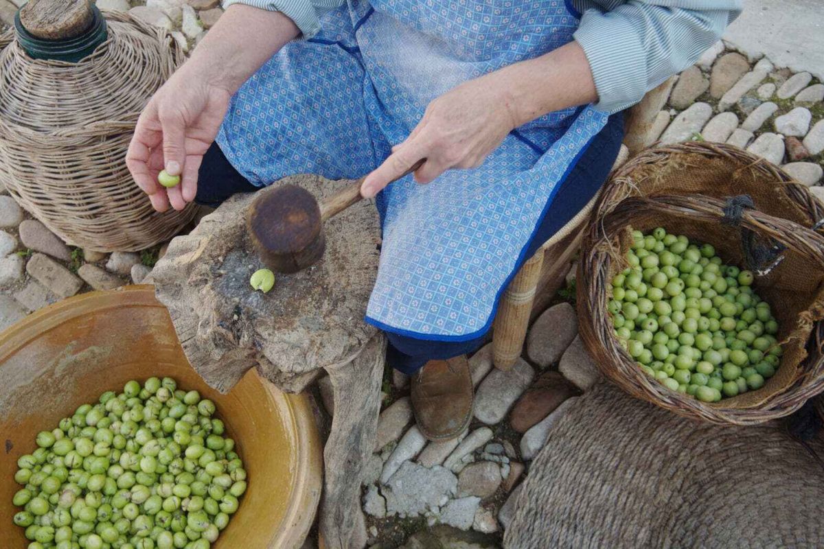 El Valle del Guadalhorce, el mejor biodistrito ecológico