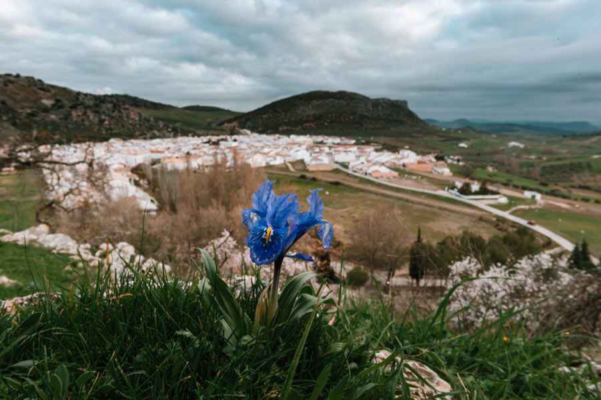 “La tierra que alimenta”, un proyecto de soberanía alimentaria para comer mañana
