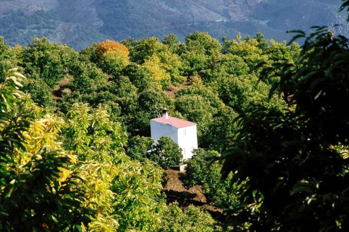 Andalucía es la comunidad autónoma de España con más Reservas de la Biosfera