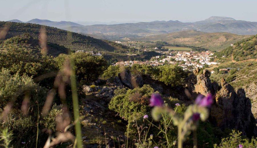 Disfruta de una experiencia oleoturística con los Grupos de Desarrollo Rural de Jaén