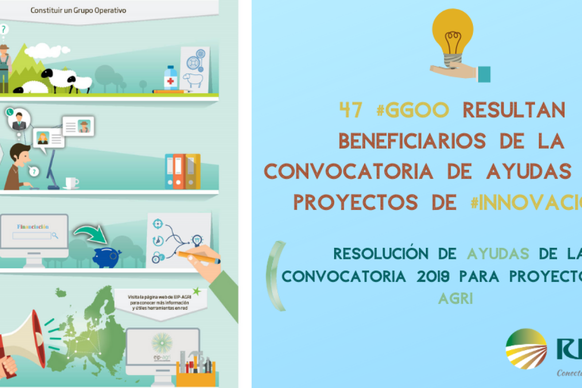 47 Grupos Operativos resultan beneficiarios de la convocatoria de ayudas para proyectos de Innovación