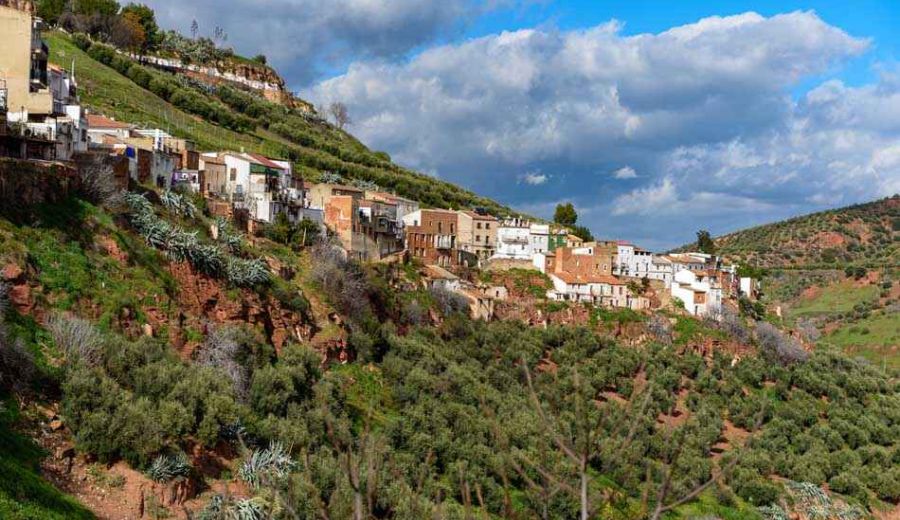 Comercio aprueba 110 proyectos para apoyar el sector comercial y los mercados rurales sostenibles