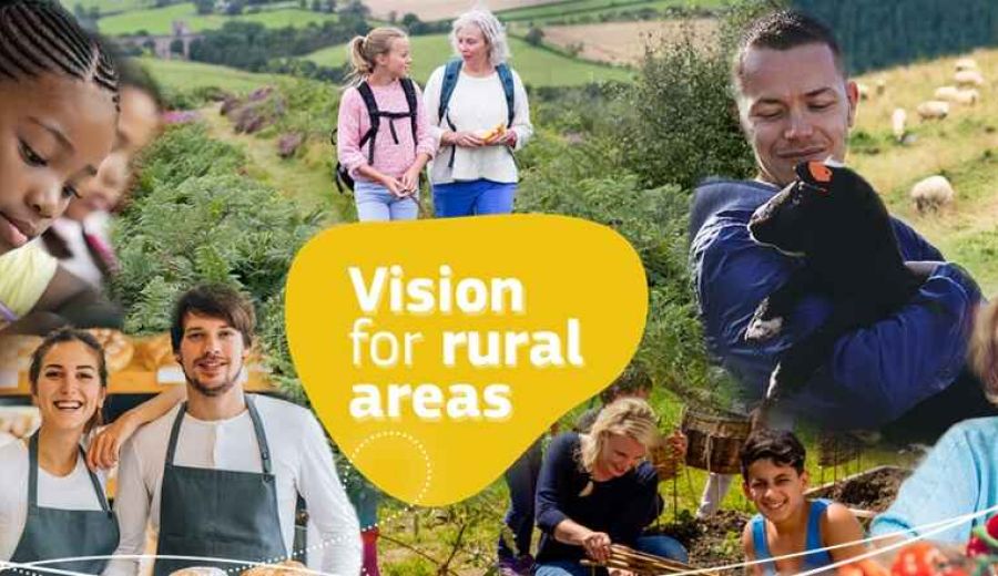Visión a largo plazo para las zonas rurales: por unas zonas rurales de la UE más fuertes, conectadas, resilientes y prósperas