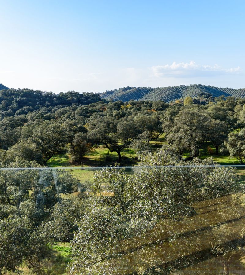 Boletín Andalucía Rural. 23 de enero, 2026