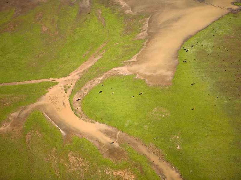 La Junta convoca los Premios Andalucía de Medio Ambiente 2020 y añade una categoría al compromiso ambiental