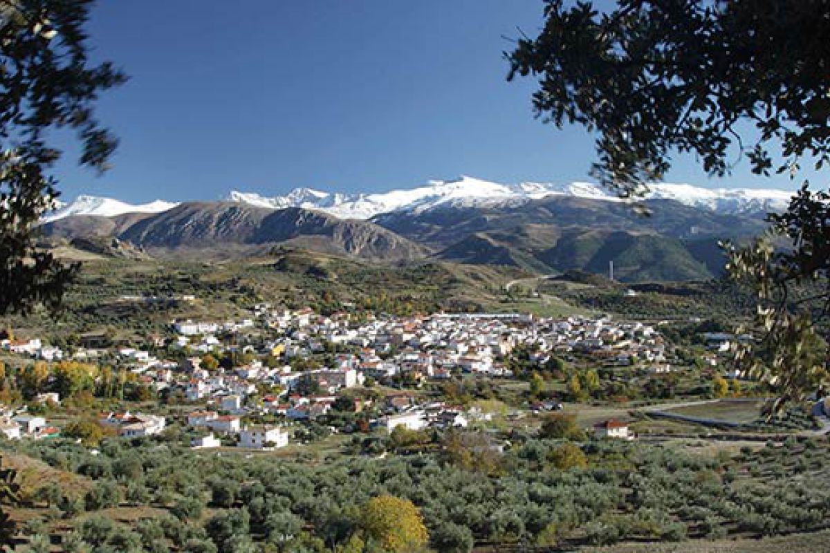 La UE presenta 3 proyectos de la Diputación de Granada como ejemplo de buenas prácticas contra la despoblación