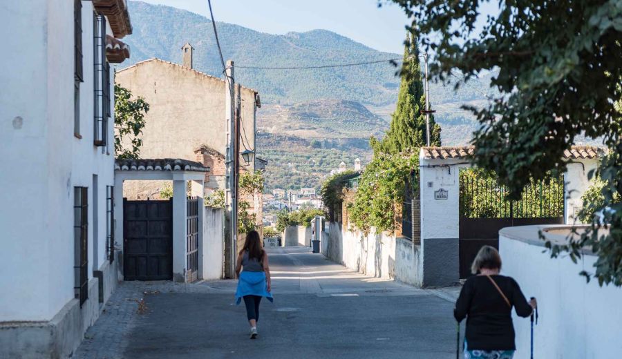 Diputación de Granada abre el plazo de solicitud de ayudas para los 8 Grupos de Desarrollo Rural de la provincia