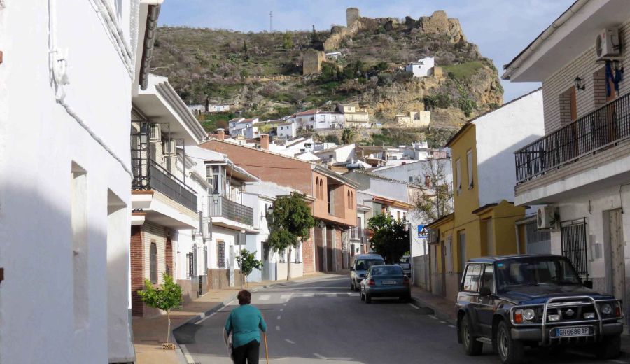 El Pleno del Comité Económico y Social Europeo aprueba un dictamen sobre soledad no deseada