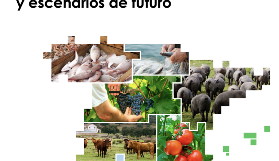 Hacia la transformación del sistema alimentario en España: situación actual, impactos y escenarios de futuro
