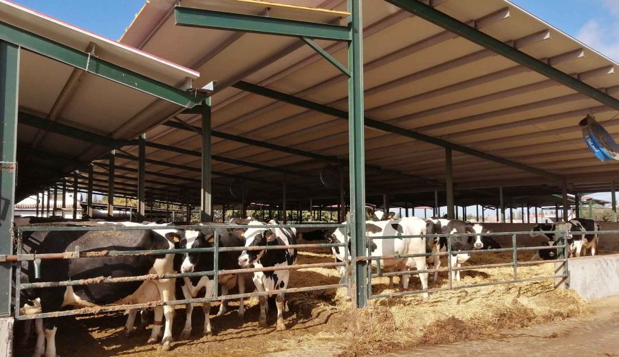 Las ayudas LEADER llegan a pequeñas empresas y al sector agrario de Antequera