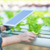 La Comisión Europea reconoce a LEADER como un vehículo indispensable para llevar la innovación al medio rural