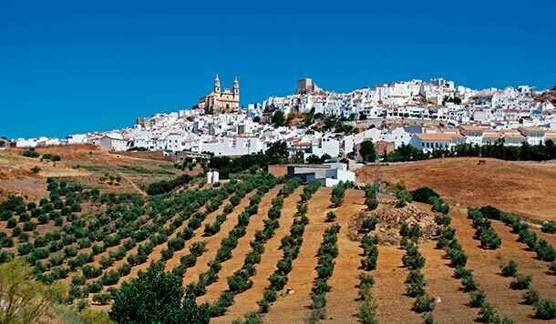 GDRs de la provincia de Cádiz