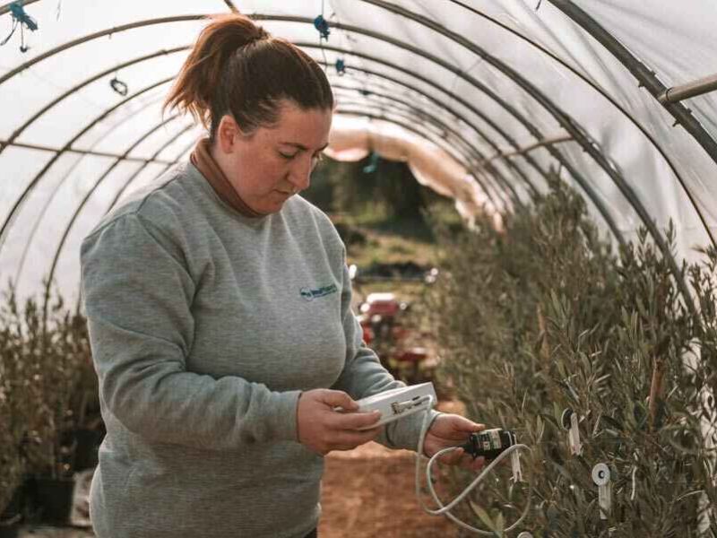 Mujeres rurales: el reto de emprender en el campo