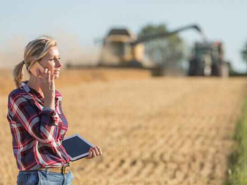 El Ministerio de Agricultura convoca ayudas por 46,5M€ para proyectos de innovación suprautonómicos