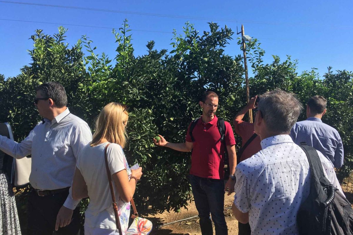 Regions4Food  se interesa por “Smart AG Services” que lidera el GDR Campiña y Alcores de Sevilla