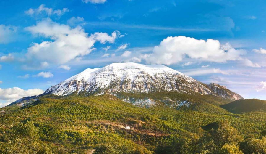 Francisco Torregrosa, presidente GDR Altiplano de Granada: “LEADER da la oportunidad a las zonas rurales de ser partícipes en su propio desarrollo”