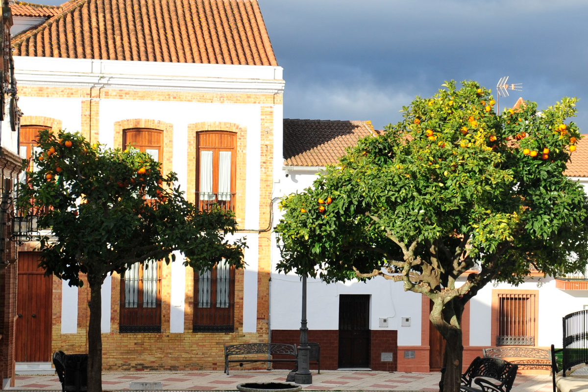 SierraAlimenta Huelva empieza a dar sus frutos  con el I Mercado Local en Berrocal