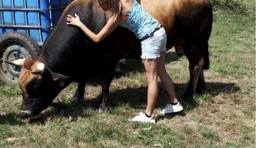 Cómo son y qué piden los jóvenes que se “quedan” en el agro