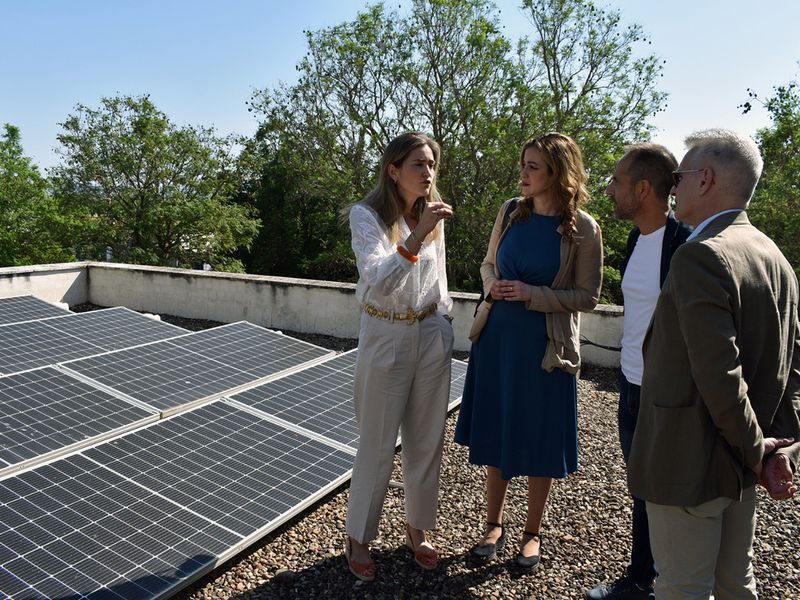 La Secretaria de Estado de Energía conoce la Estrategia de Desarrollo Local Leader Gran Vega de Sevilla