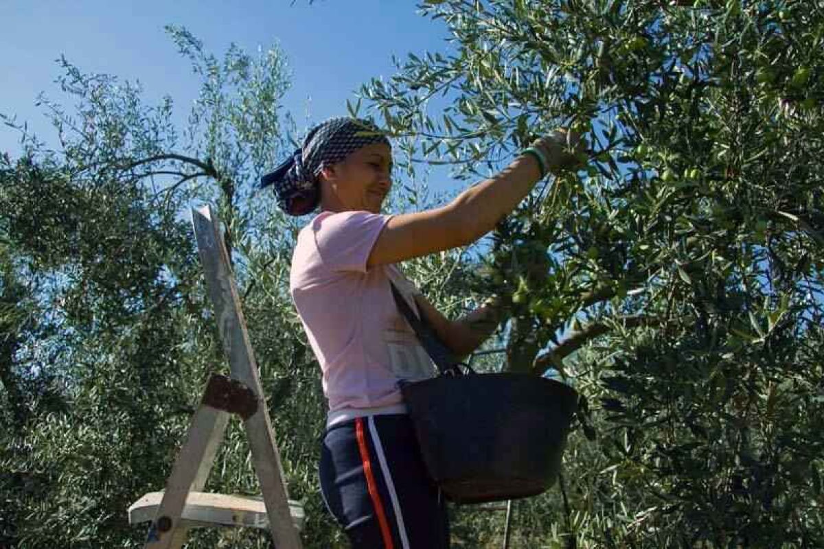 El 67% de las mujeres ve atractiva la idea de emprender en el medio rural pero piden mejoras en nuevas tecnologías