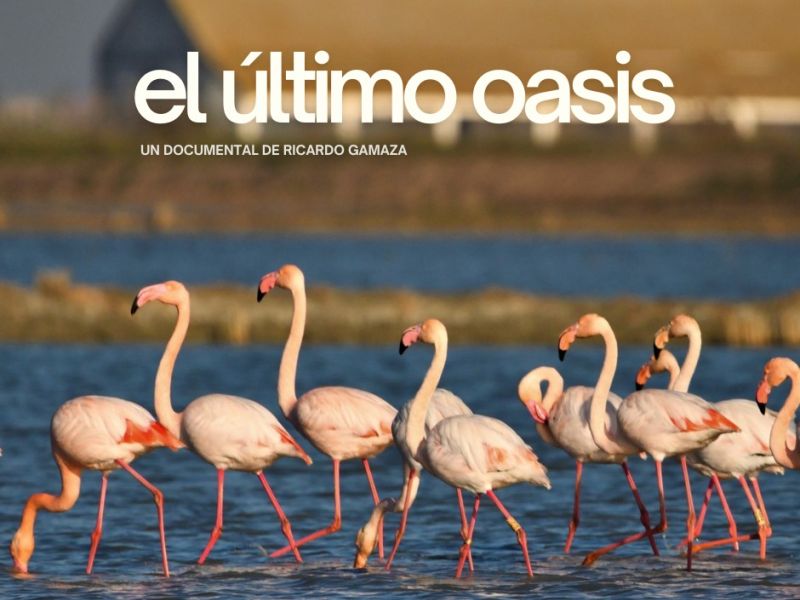 “El último oasis”, documental de Ícara apoyado por el LEADER del GDR Aljarafe-Doñana