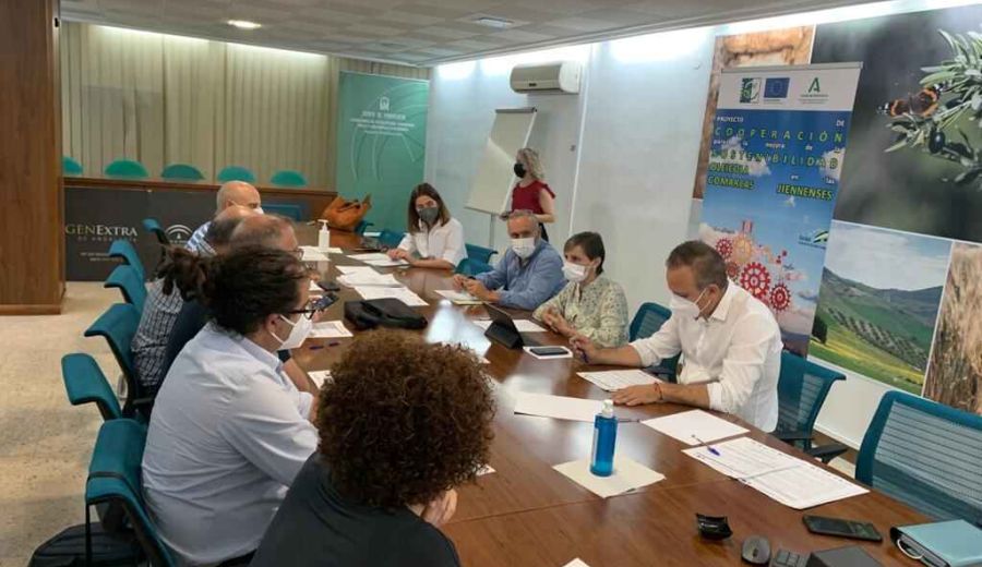 Los GDR de Jaén cooperan para hacer más competitivo y sostenible el sector oleícola de sus comarcas