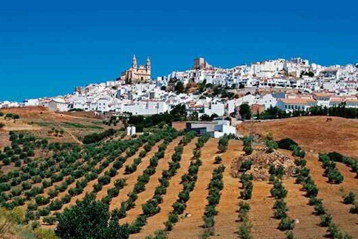 El Senado aprueba iniciativas para mejorar la vida en el medio rural