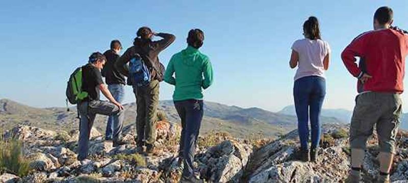 leader column 001 ea5b4f24