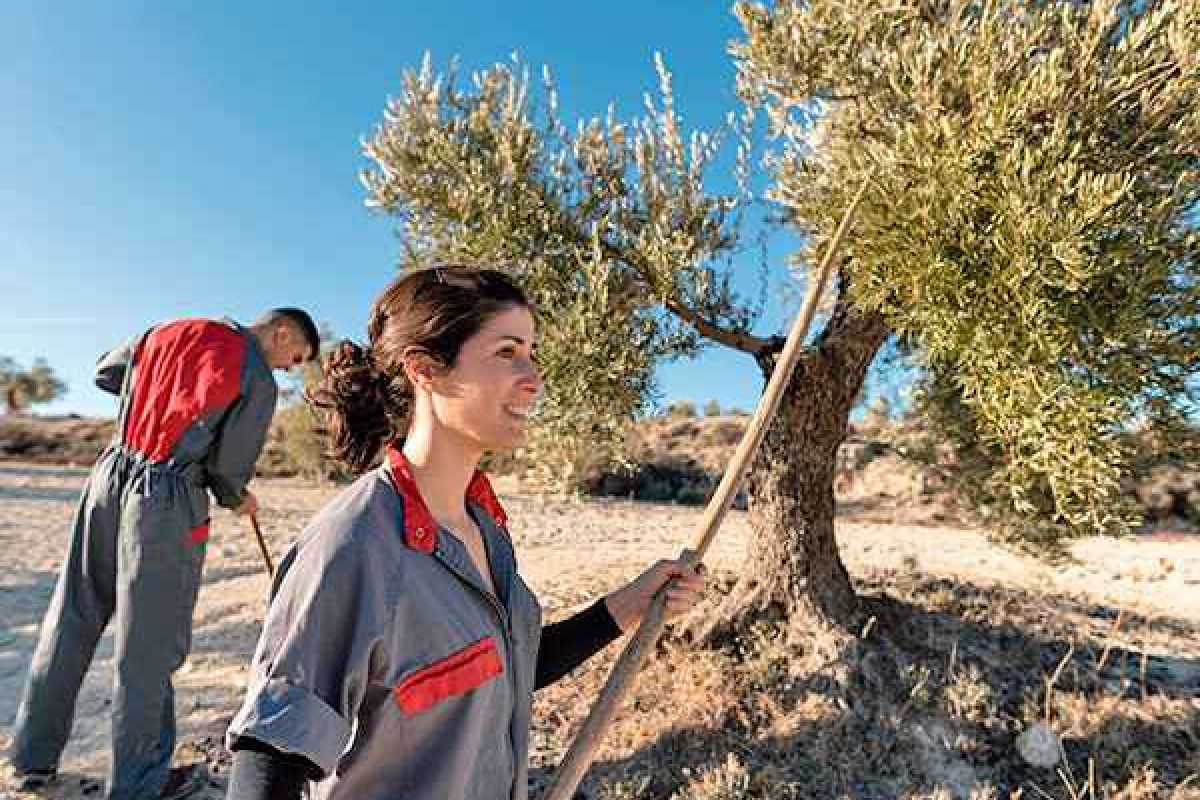 El 46% de las ayudas al desarrollo rural incluye ya algún criterio de promoción de la igualdad de género