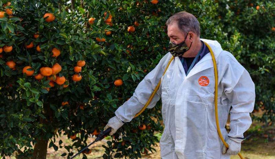 El Gobierno aprueba las últimas normas necesarias para aplicar la PAC 2023-2027