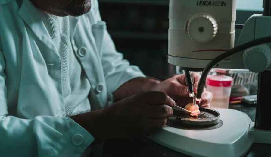 La innovación técnica llega a la cría de caracoles con el proyecto de Heligemas en el que participa ARA