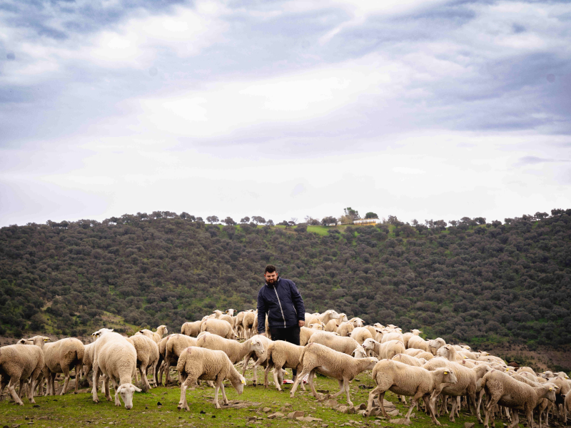 Dos proyectos de emprendimiento rural en Andalucía, premiados en el programa “Tierra de Oportunidades” de Caixabank
